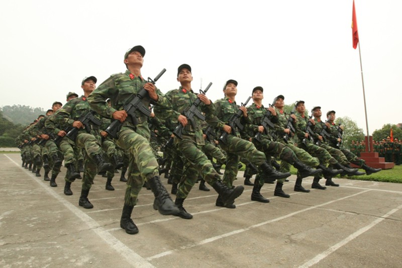 Toàn cảnh khối quân chính qui tập diễu binh kỷ niệm Điện Biên Phủ - ảnh 9