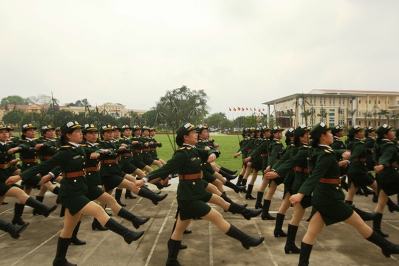 Toàn cảnh khối quân chính qui tập diễu binh kỷ niệm Điện Biên Phủ - ảnh 18