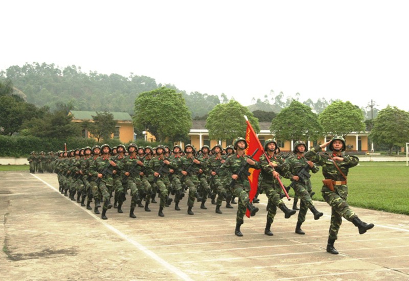 Toàn cảnh khối quân chính qui tập diễu binh kỷ niệm Điện Biên Phủ - ảnh 4