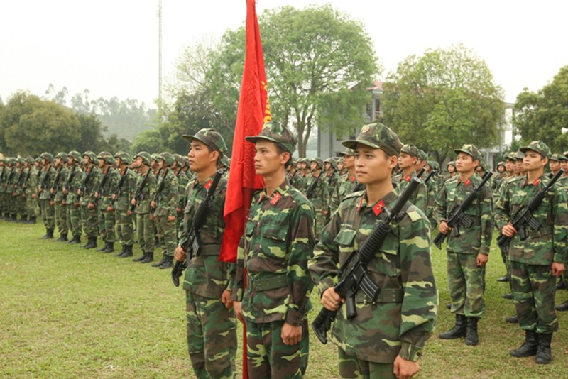 Toàn cảnh khối quân chính qui tập diễu binh kỷ niệm Điện Biên Phủ - ảnh 8