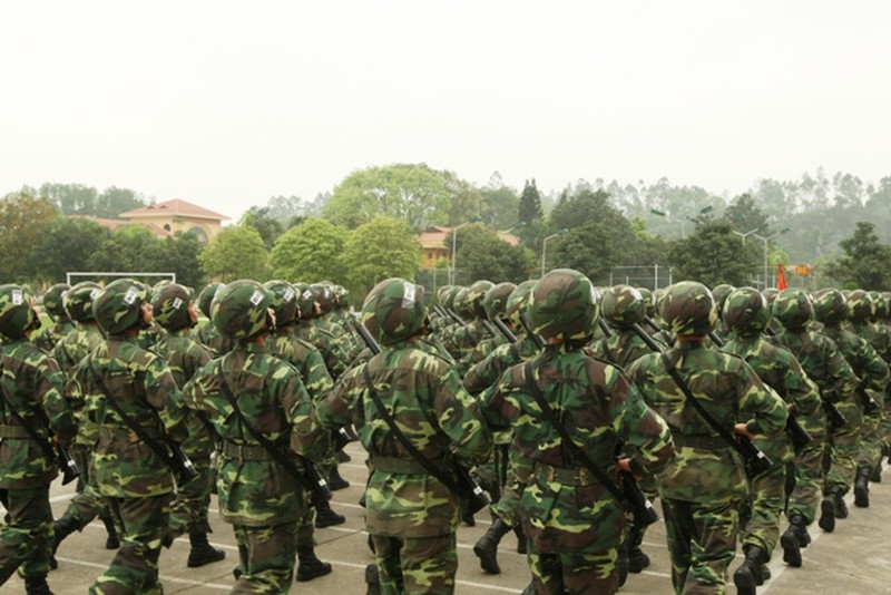 Toàn cảnh khối quân chính qui tập diễu binh kỷ niệm Điện Biên Phủ - ảnh 7