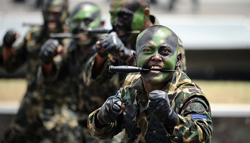 Indonesia duyệt binh hoành tráng khoe vũ khí Mỹ, Nga, Đức, TQ... - ảnh 12