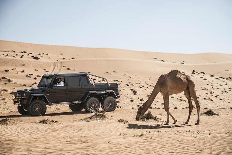 Bộ ảnh đầy cảm xúc của 'chiến binh' Mercedes G63 trên sa mạc - ảnh 12