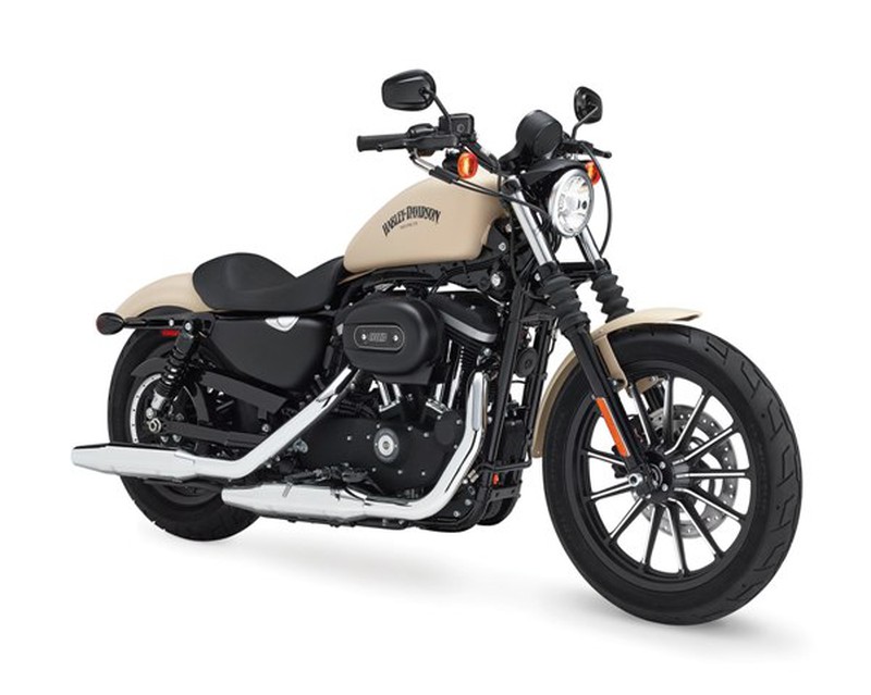 Harley Davidson VN đẩy mạnh bán mẫu xe cho người có vóc dáng nhỏ - ảnh 3