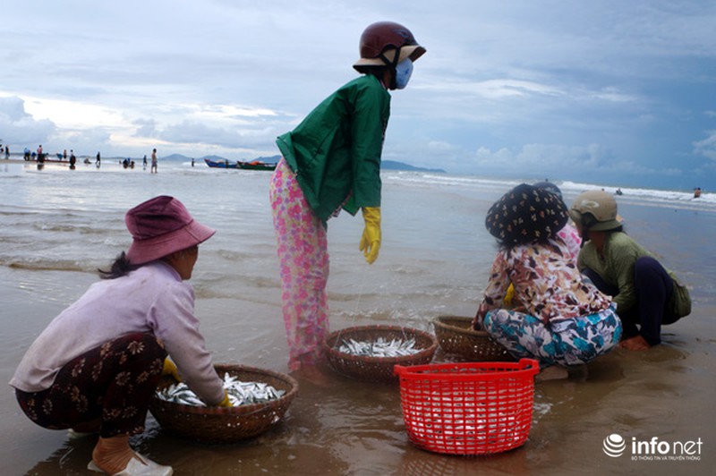 Ngư dân Vũng Tàu nhọc nhằn bám biển mưu sinh - ảnh 10
