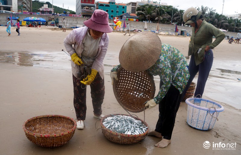 Ngư dân Vũng Tàu nhọc nhằn bám biển mưu sinh - ảnh 11
