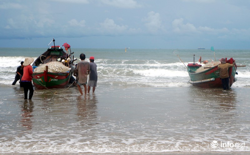 Ngư dân Vũng Tàu nhọc nhằn bám biển mưu sinh - ảnh 2