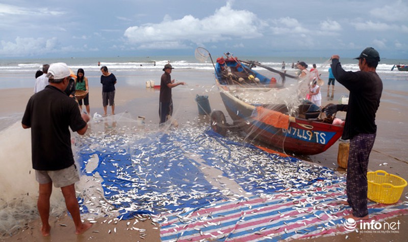 Ngư dân Vũng Tàu nhọc nhằn bám biển mưu sinh - ảnh 6