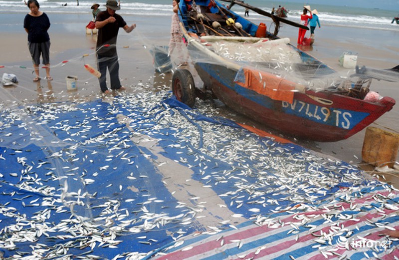 Ngư dân Vũng Tàu nhọc nhằn bám biển mưu sinh - ảnh 7