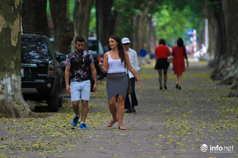 Hà Nội... mùa lá bay - ảnh 11