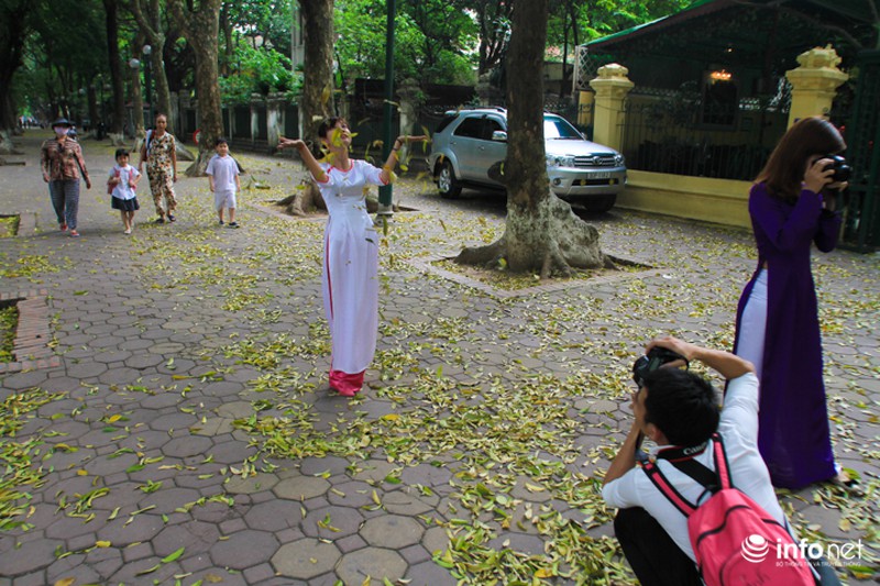 Hà Nội... mùa lá bay - ảnh 10