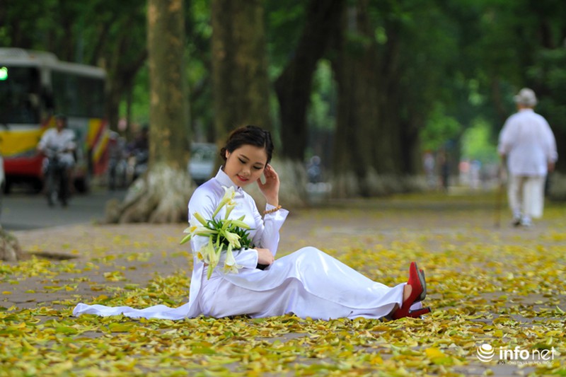 Hà Nội... mùa lá bay - ảnh 7