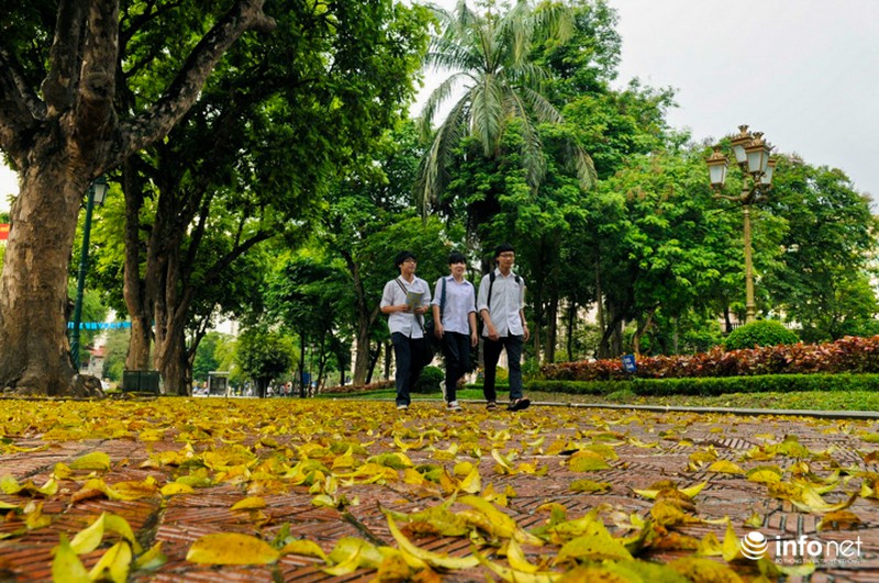 Hà Nội... mùa lá bay - ảnh 5