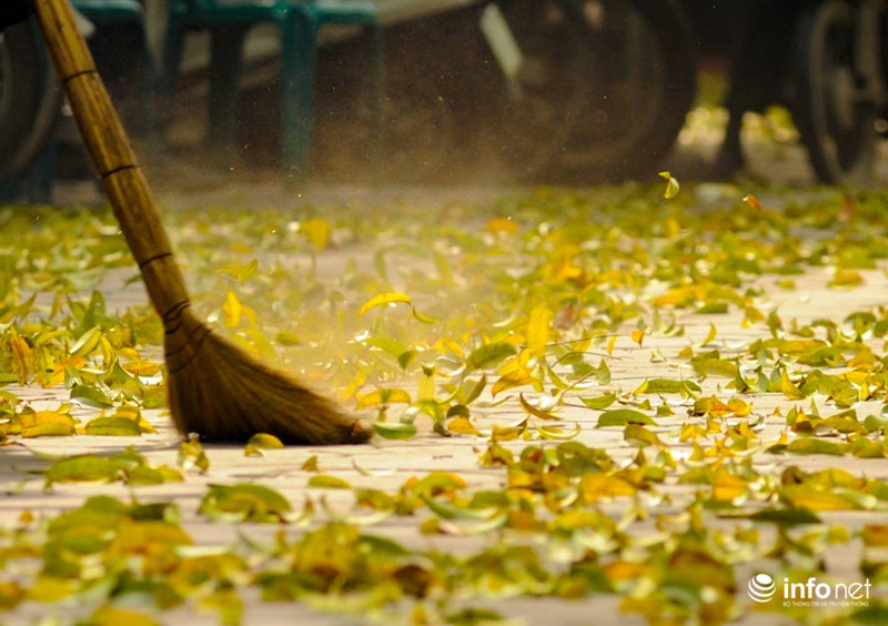 Hà Nội... mùa lá bay - ảnh 3