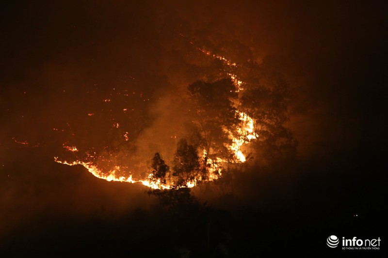 Chùm ảnh: Hơn 2000 người xuyên đêm chữa cháy cứu rừng phòng hộ - ảnh 1