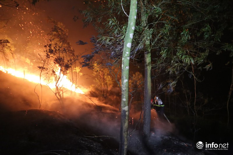 Chùm ảnh: Hơn 2000 người xuyên đêm chữa cháy cứu rừng phòng hộ - ảnh 6