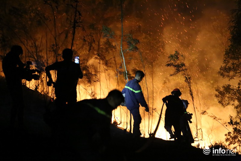 Chùm ảnh: Hơn 2000 người xuyên đêm chữa cháy cứu rừng phòng hộ - ảnh 8