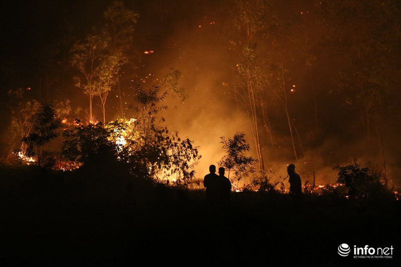 Chùm ảnh: Hơn 2000 người xuyên đêm chữa cháy cứu rừng phòng hộ - ảnh 2