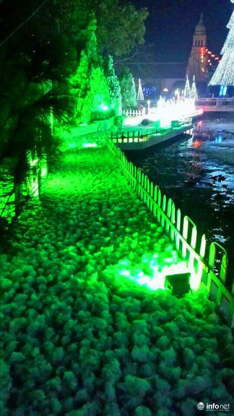 Hà Tĩnh: Rộn ràng trước đêm đón Noel - ảnh 1