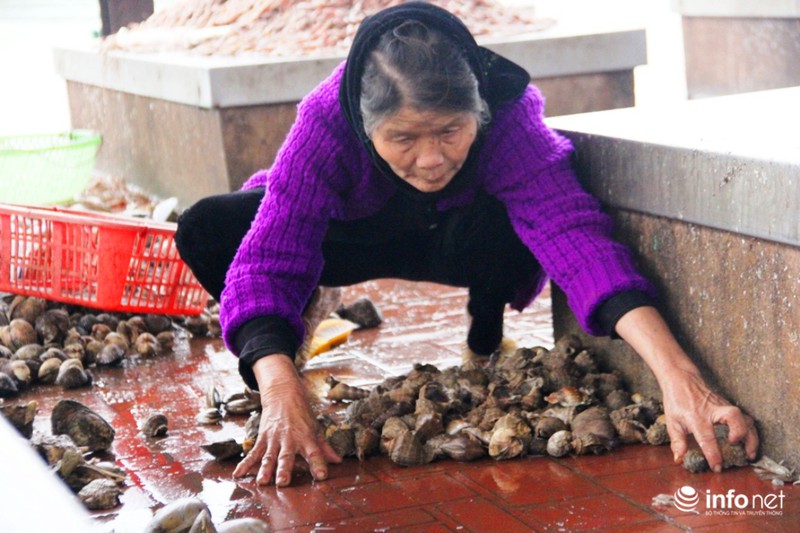 Cảng cá lớn nhất xứ Nghệ trong ngày đầu năm mới - ảnh 5