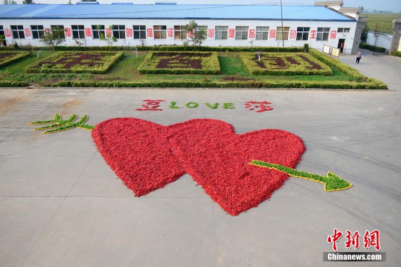 9 kiểu cầu hôn điên rồ nhưng