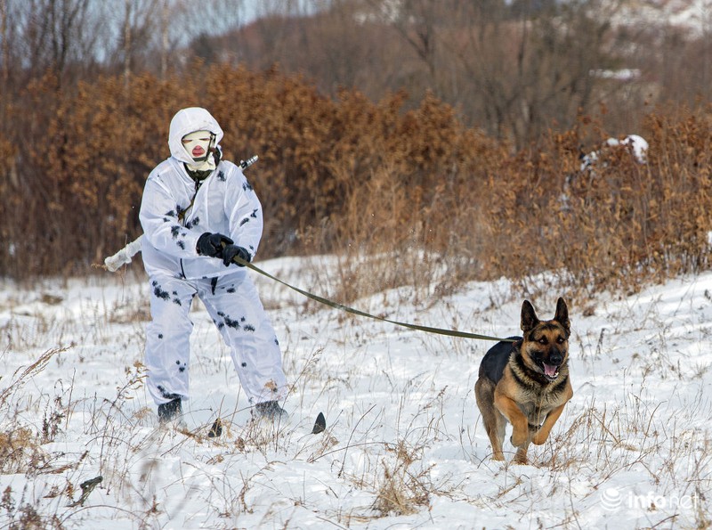 Cận cảnh Biệt đội Bắc cực của Nga huấn luyện trong trời tuyết - ảnh 1