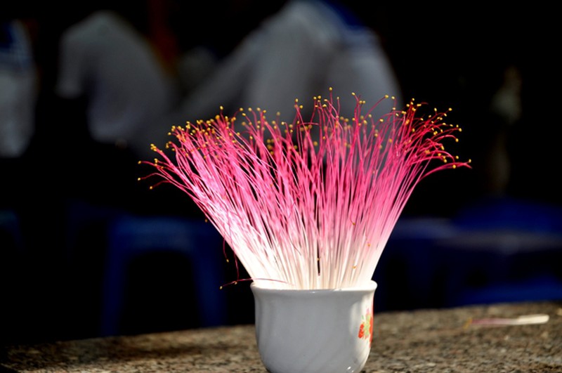 Hoa ở Trường Sa - ảnh 27