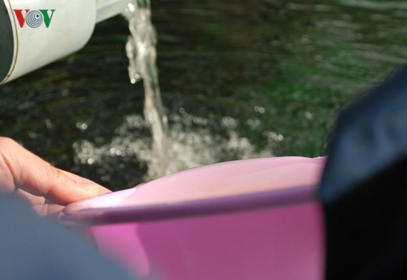 Tận mắt xem cá hồi sinh sản ở Việt Nam - ảnh 11