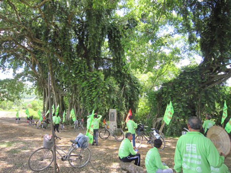 Những cây già nhất Việt Nam - ảnh 7