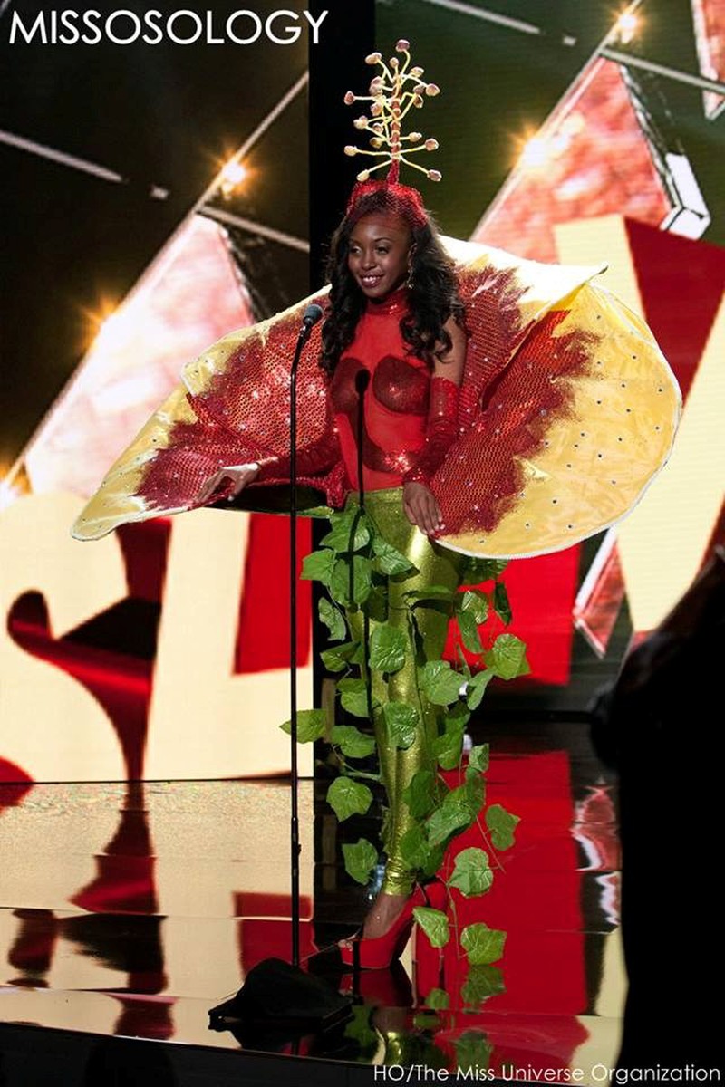 Ảnh Phạm Hương và các người đẹp Hoa hậu Hoàn vũ 2015 thi trang phục dân tộc - ảnh 13