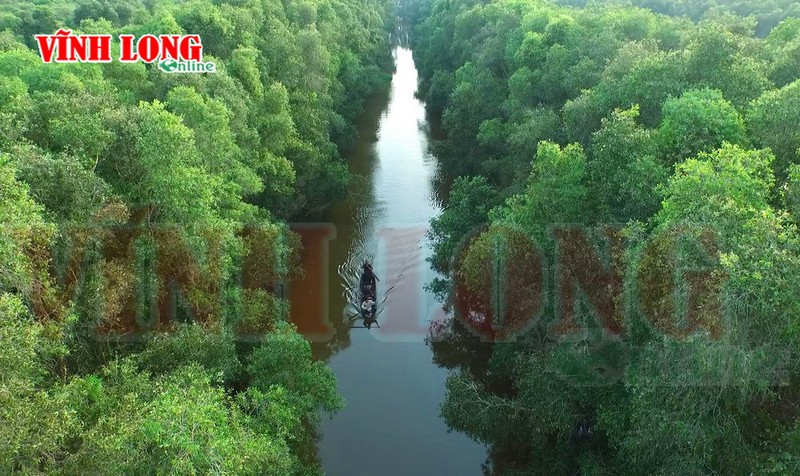 Tràm Chim - mùa chim di trú - ảnh 1