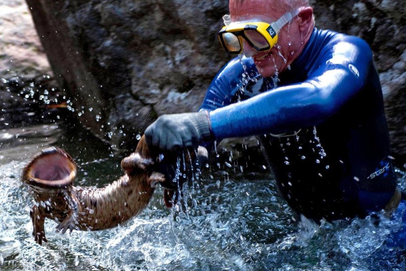 Kinh ngạc với bộ sưu tập 20 thủy quái của Jeremy Wade - ảnh 18