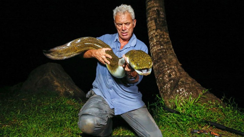 Kinh ngạc với bộ sưu tập 20 thủy quái của Jeremy Wade - ảnh 3