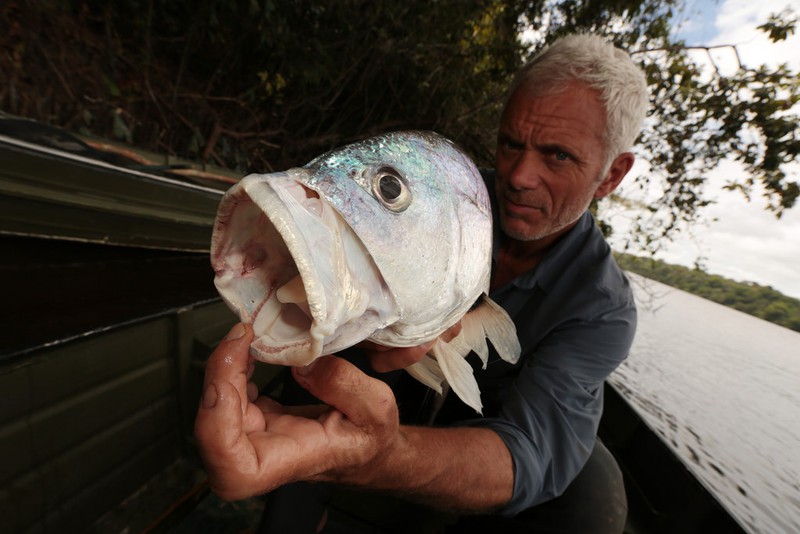 Kinh ngạc với bộ sưu tập 20 thủy quái của Jeremy Wade - ảnh 7