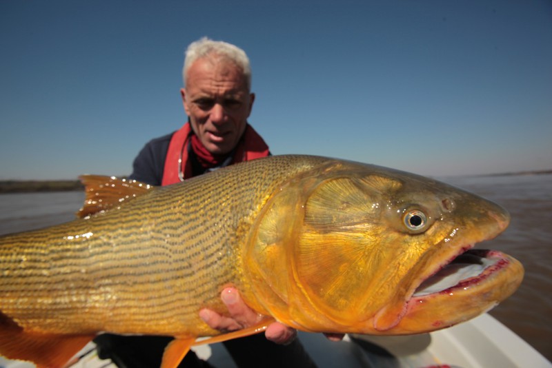Kinh ngạc với bộ sưu tập 20 thủy quái của Jeremy Wade - ảnh 14