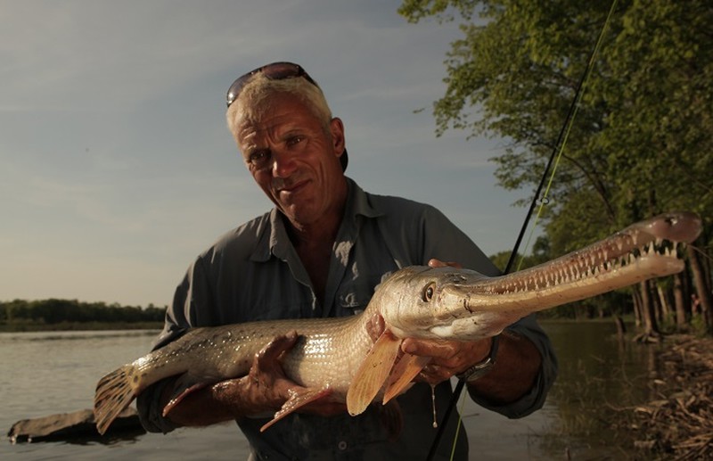 Kinh ngạc với bộ sưu tập 20 thủy quái của Jeremy Wade - ảnh 16
