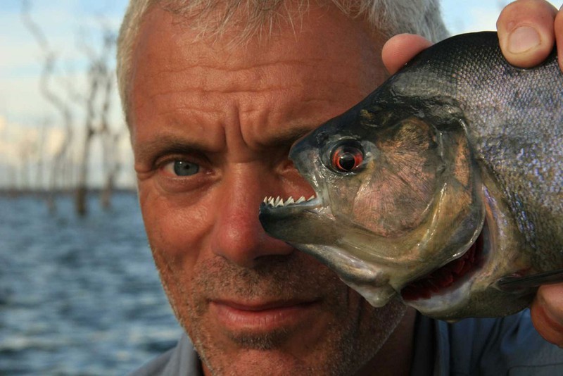 Kinh ngạc với bộ sưu tập 20 thủy quái của Jeremy Wade - ảnh 19