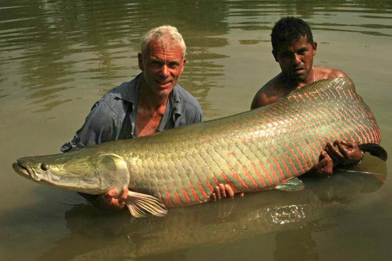 Kinh ngạc với bộ sưu tập 20 thủy quái của Jeremy Wade - ảnh 21