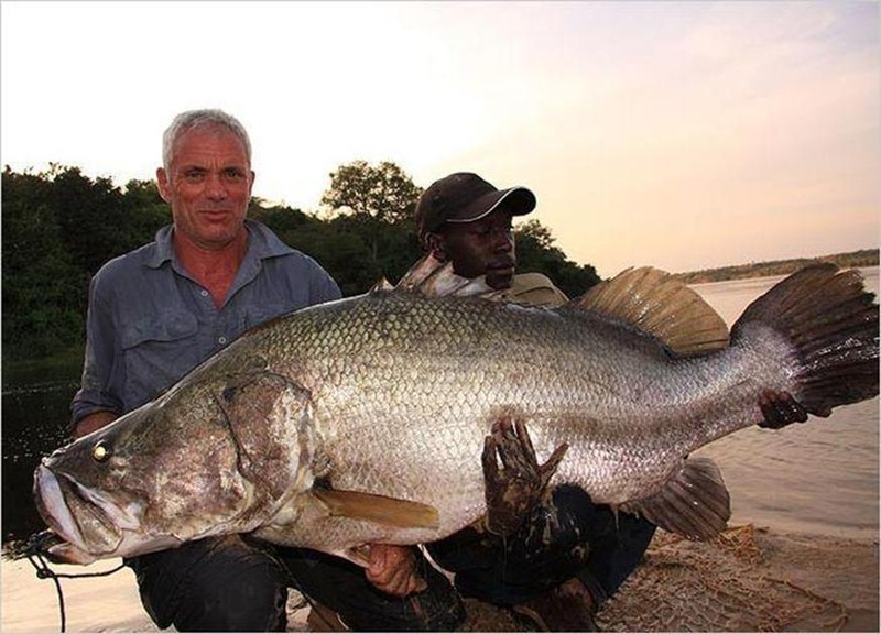 Kinh ngạc với bộ sưu tập 20 thủy quái của Jeremy Wade - ảnh 22