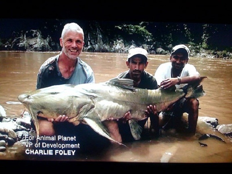 Kinh ngạc với bộ sưu tập 20 thủy quái của Jeremy Wade - ảnh 4