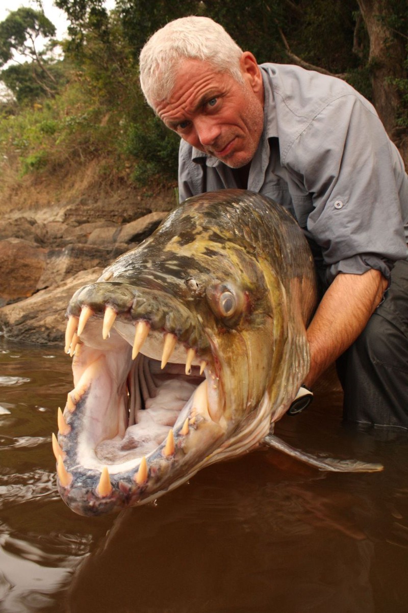 Kinh ngạc với bộ sưu tập 20 thủy quái của Jeremy Wade - ảnh 6