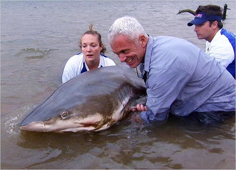 Kinh ngạc với bộ sưu tập 20 thủy quái của Jeremy Wade - ảnh 8