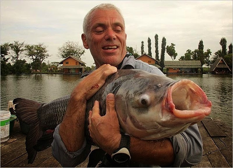 Kinh ngạc với bộ sưu tập 20 thủy quái của Jeremy Wade - ảnh 13