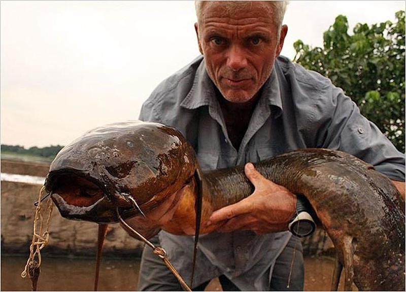 Kinh ngạc với bộ sưu tập 20 thủy quái của Jeremy Wade - ảnh 15