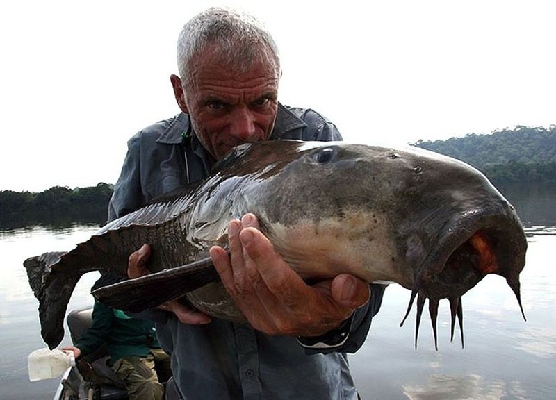 Kinh ngạc với bộ sưu tập 20 thủy quái của Jeremy Wade - ảnh 17