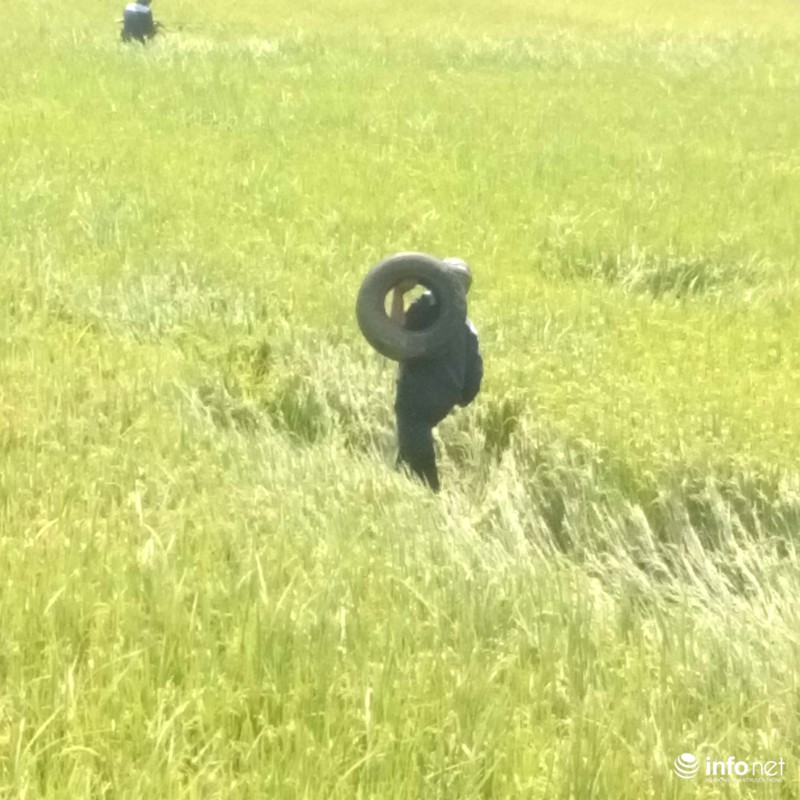 Ảnh hiện trường vụ máy bay rơi ở Phú Yên - ảnh 6