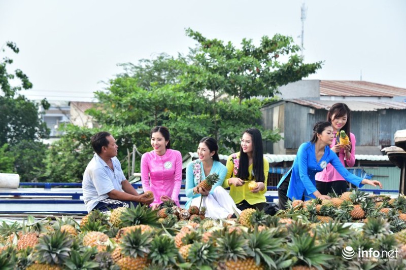 Người đẹp cuộc thi Hoa khôi ĐBSCL 2015 khoe nhan sắc - ảnh 7
