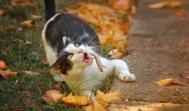 Khoảnh khắc 1 giây trước khi tai hoạ ập xuống - ảnh 1