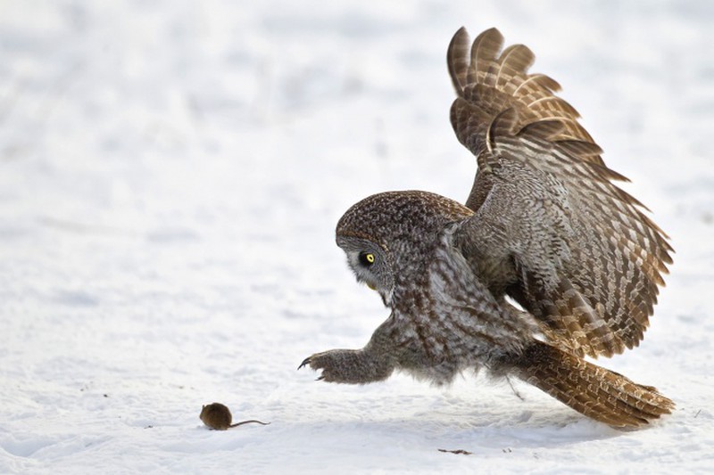 Khoảnh khắc 1 giây trước khi tai hoạ ập xuống - ảnh 11