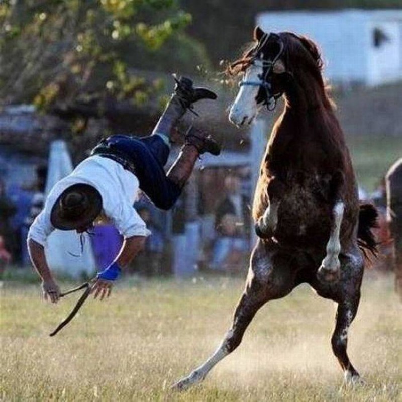 Khoảnh khắc 1 giây trước khi tai hoạ ập xuống - ảnh 12